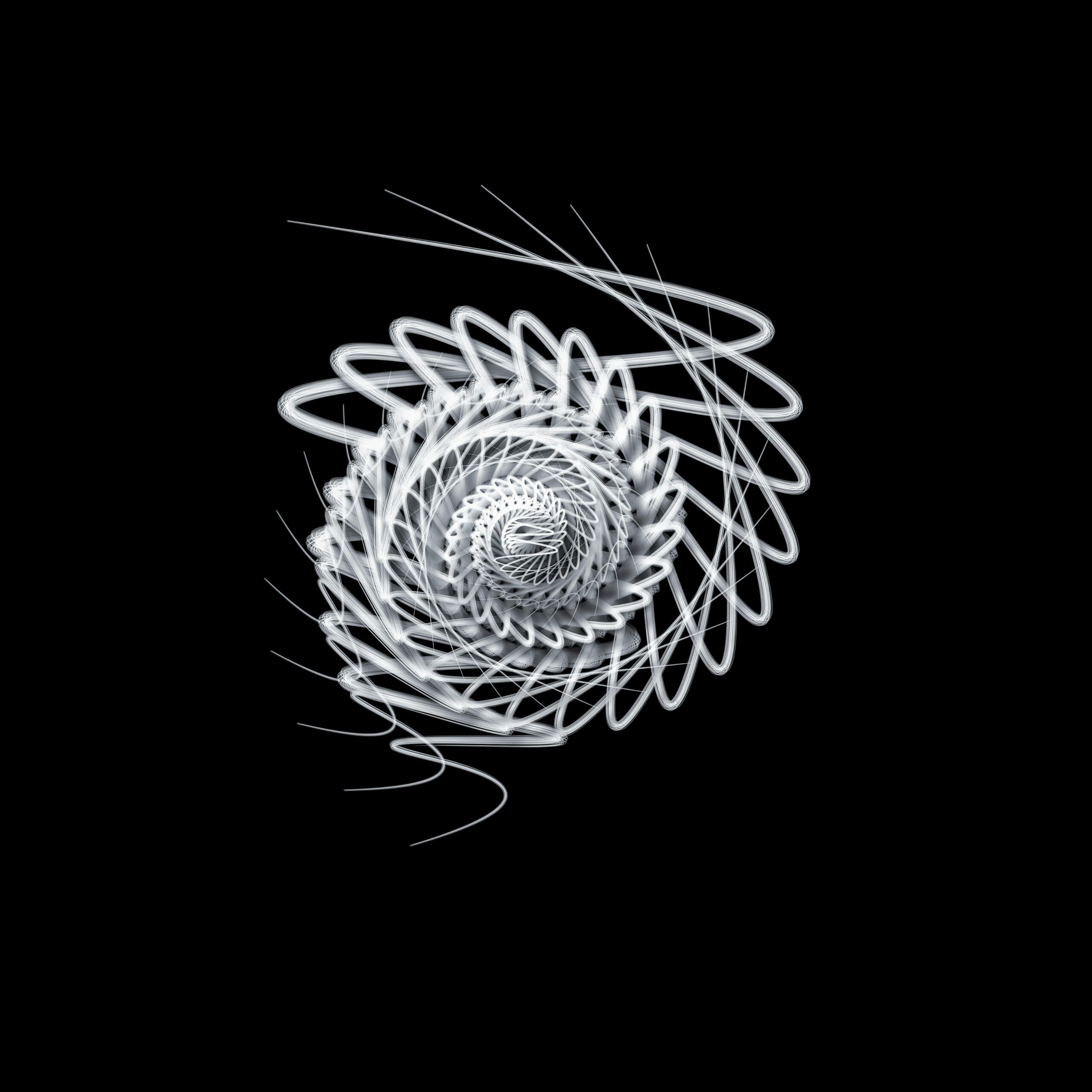Intricate spiral abstract art with a black background, showcasing dynamic motion.